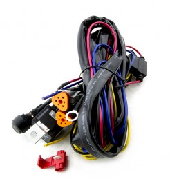 Wiring harness for 2 lights...
